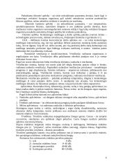 Ergonominis darbo sąlygų vertinimas ir priemonių jų gerinimui parinkimas 6 puslapis