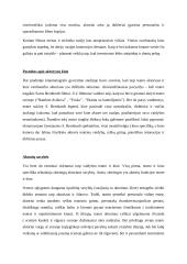 Naudinga informacija kino egzaminui  3 puslapis