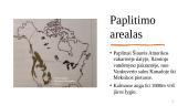 Pocūgės (Pseudotsuga) 10 puslapis