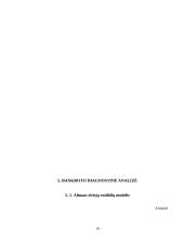 Įmonės AB "Alita" finansinė analizė 19 puslapis