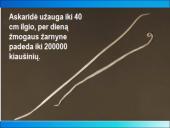 Dirvožemis, dirvožemio tarša 15 puslapis