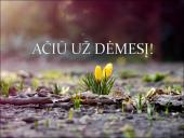 Dirvožemis, dirvožemio tarša 18 puslapis