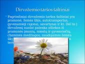 Dirvožemis, dirvožemio tarša 4 puslapis