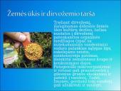 Dirvožemis, dirvožemio tarša 6 puslapis