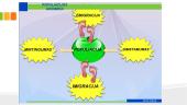 Populiacijos augimo savireguliacija 4 puslapis