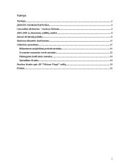 AB "Vilniaus Vingis" finansinė analizė 2 puslapis