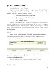 AB "Vilniaus Vingis" finansinė analizė 3 puslapis