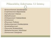 Plikasėkliai medžiai 9 puslapis