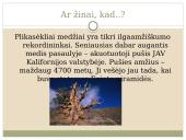 Plikasėkliai medžiai 10 puslapis