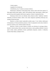 Įmonės finansinės padėties analizė 5 puslapis