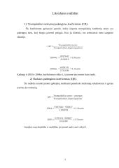 Įmonės finansinės padėties analizė 8 puslapis