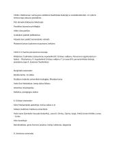 Lietuvos tarpukaris konspektas 2 puslapis