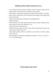 Įmonės gamybos technologijos: UAB "Tameksas" 13 puslapis