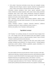 Įmonės gamybos technologijos: UAB "Tameksas" 6 puslapis