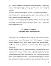 Įmonės įkūrimas: sportinės aprangos siuvimas KŪB "ModaSport" 5 puslapis