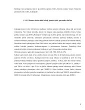 Įmonės įkūrimas: sportinės aprangos siuvimas KŪB "ModaSport" 8 puslapis