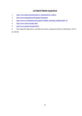 Įmonės kompiuterinė technika 13 puslapis