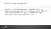 What is agression? 8 puslapis