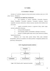 Įmonės kūrimas ir veiklos vadyba: savaitraščio leidyba UAB "Aidas" 10 puslapis