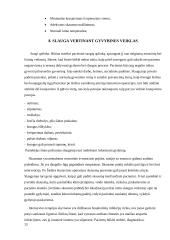 Išeminė širdies liga 13 puslapis