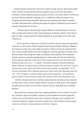 Išeminė širdies liga 17 puslapis