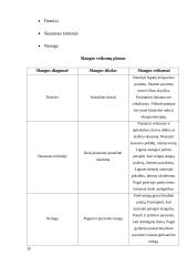 Išeminė širdies liga 20 puslapis