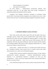 Išeminė širdies liga 8 puslapis