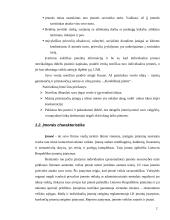 Įmonės kūrimas: maisto gaminimas ir pristatymas IĮ "Karališkieji pietūs" 3 puslapis