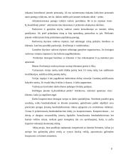 Įmonės kūrimas: maisto gaminimas ir pristatymas IĮ "Karališkieji pietūs" 9 puslapis