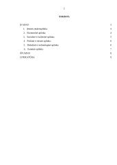 Įmonės makroaplinkos analizė: viešbutis "Romantic" 2 puslapis