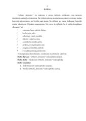 Įmonės makroaplinkos analizė: viešbutis "Romantic" 3 puslapis