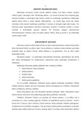 Įmonės makroaplinkos analizė: viešbutis "Romantic" 4 puslapis