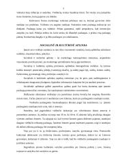 Įmonės makroaplinkos analizė: viešbutis "Romantic" 5 puslapis