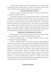 Įmonės makroaplinkos analizė: viešbutis "Romantic" 6 puslapis