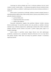 Įmonės makroaplinkos analizė: viešbutis "Romantic" 7 puslapis