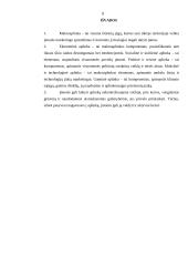 Įmonės makroaplinkos analizė: viešbutis "Romantic" 8 puslapis