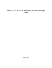 Prekės ženklo ,,Margarita'' rinkodaros planas