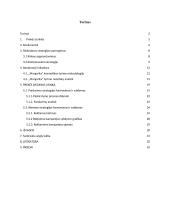 Prekės ženklo ,,Margarita'' rinkodaros planas 2 puslapis