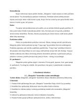 Prekės ženklo ,,Margarita'' rinkodaros planas 13 puslapis