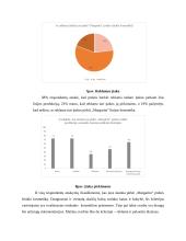 Prekės ženklo ,,Margarita'' rinkodaros planas 17 puslapis