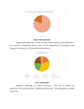 Prekės ženklo ,,Margarita'' rinkodaros planas 20 puslapis