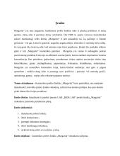 Prekės ženklo ,,Margarita'' rinkodaros planas 3 puslapis