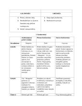 Prekės ženklo ,,Margarita'' rinkodaros planas 6 puslapis