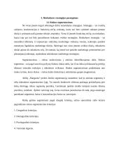 Prekės ženklo ,,Margarita'' rinkodaros planas 9 puslapis