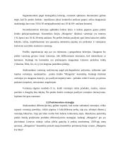 Prekės ženklo ,,Margarita'' rinkodaros planas 10 puslapis