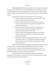 Įmonės misijos ir vizijos analizė: UAB "Lintel" 3 puslapis