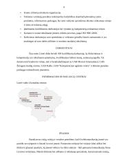 Įmonės misijos ir vizijos analizė: UAB "Lintel" 6 puslapis