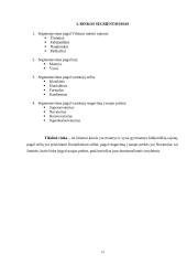 Įmonės rinkodaros planas: kirpykla IĮ "Kleopatra" 14 puslapis