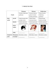 Įmonės rinkodaros planas: kirpykla IĮ "Kleopatra" 16 puslapis