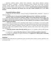 Martynas Mažvydas ir jo kontekstai 2 puslapis